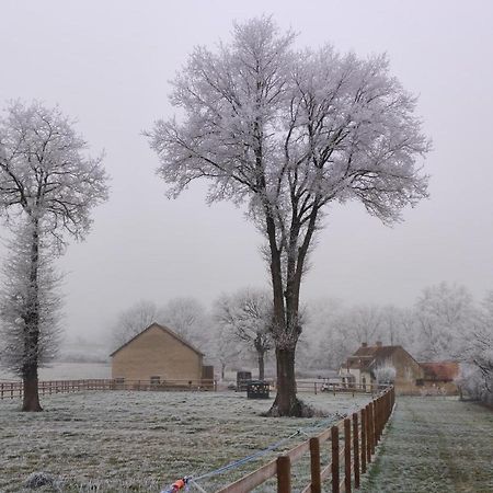 Villa Bienvenue à La Grenouillère Le Magny  Esterno foto