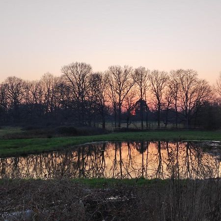 Villa Bienvenue à La Grenouillère Le Magny  Esterno foto
