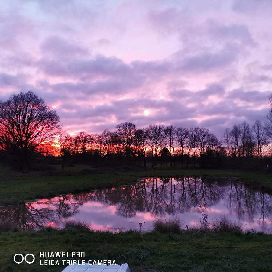 Villa Bienvenue à La Grenouillère Le Magny  Esterno foto